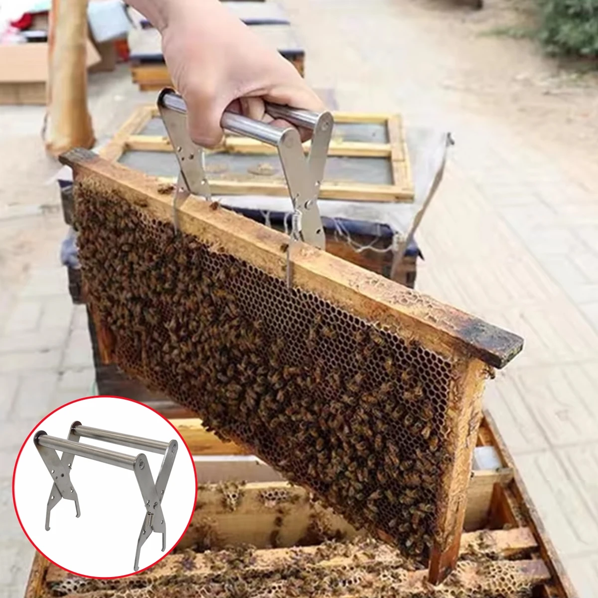 Iron Beehive Frame Holder Nest Box Clamp Durable Beekeeping Tool Honeycomb Frame Stand Bee Hive Fixture Beekeeping Supplies 1Pc - Image 6