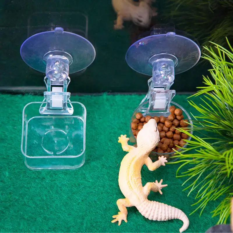 Reptile Water Food Bowl Suction Cup Food Tray Gecko Reptile Lizards Spider Tree Frogs Feeder Habitat Decoration Pet Supplies - Image 3