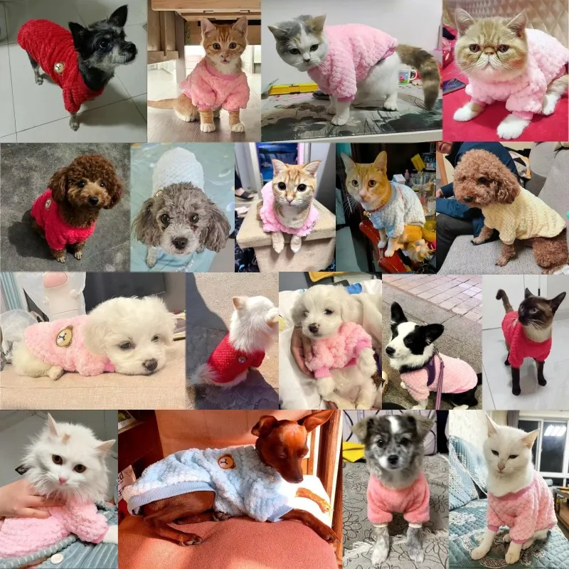 Winter Warm Dog Hoodies Pet Dog Clothes Soft Puppy Pullover Cute Bear Print Cat Sweatshirt Fashion Pet Hoodies Chihuahua Clothes - Image 2