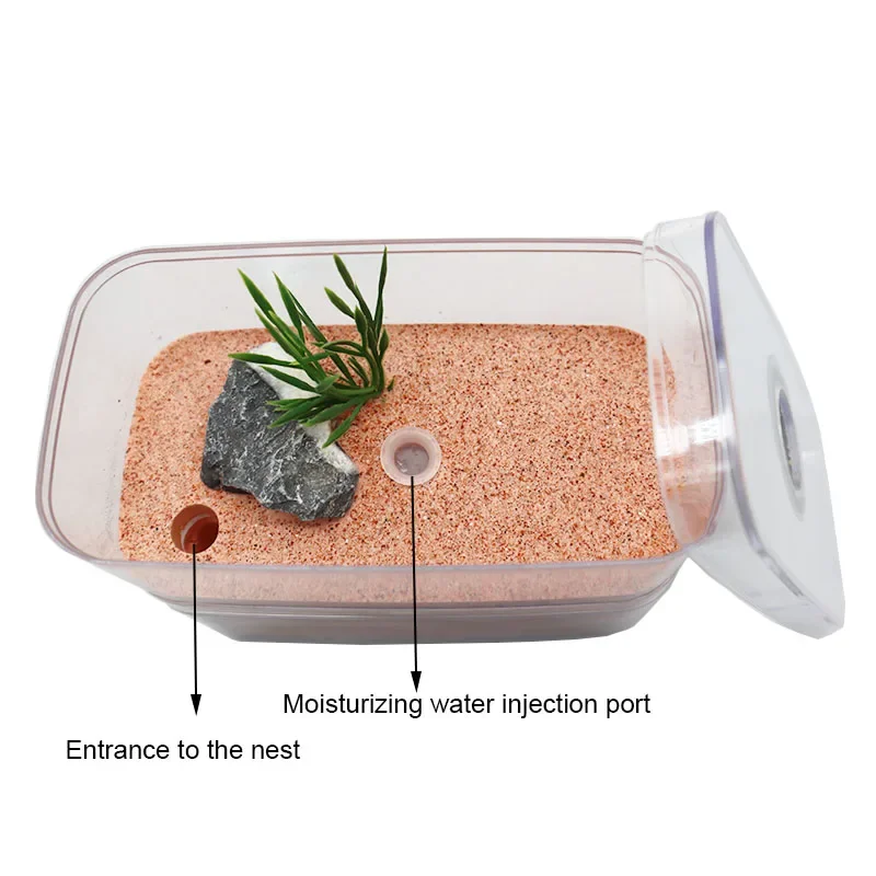 Plaster Ant Farm with Workshop Highly Moisturizing Ant Nest Pet Anthil Castle Ant House with Feeding Area Insect Box 12*6*10cm - Image 4