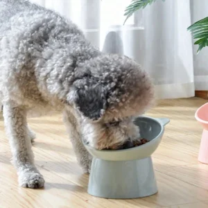 1pc Nordic Style Tilted Elevated Cat Bowl With Cartoon Neck Protection & Anti-spill Plastic Pet Feeding Bowl For Dogs And Cats