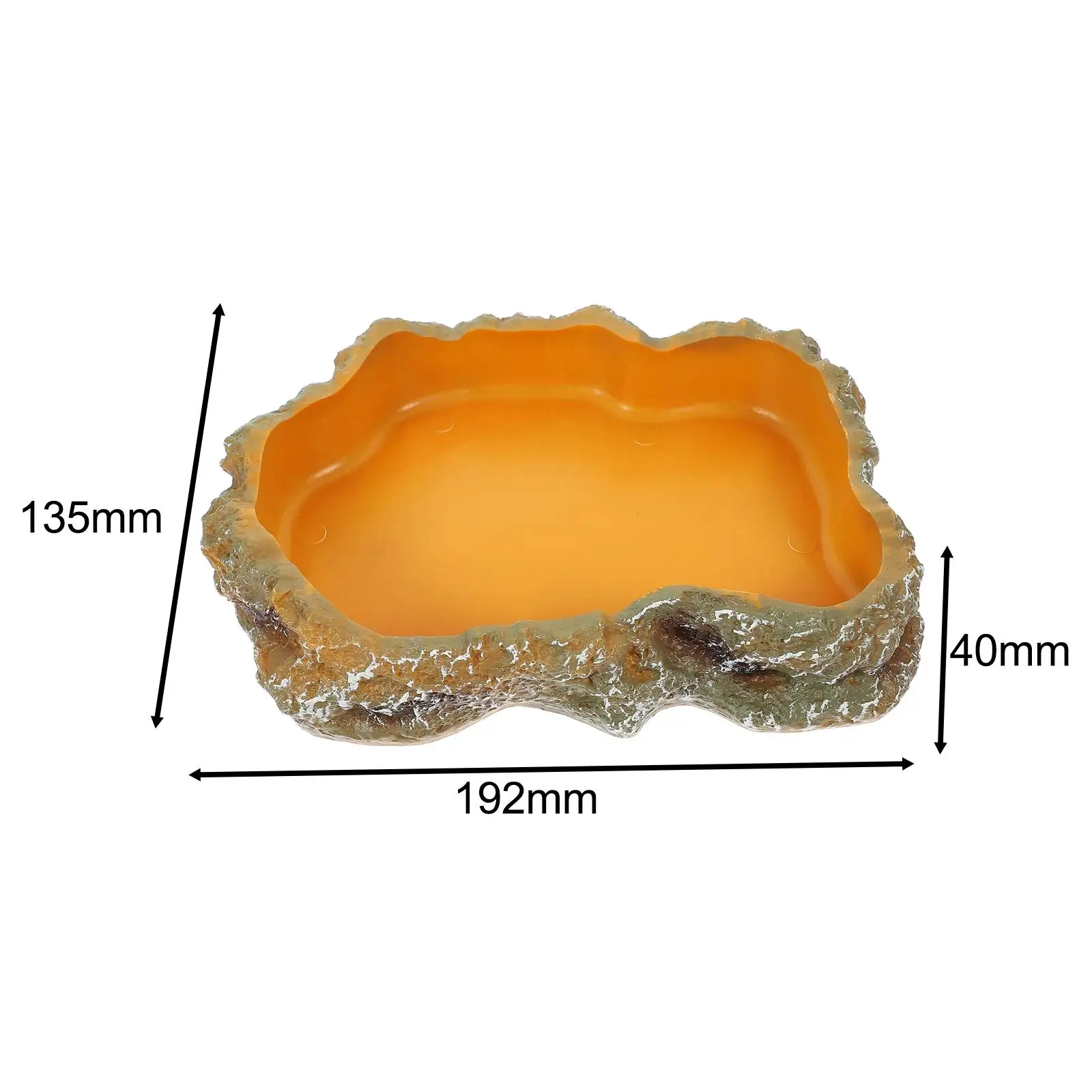 Reptile Water Bowls Terrarium Plate Reptile Feeder Amphibian Feeding Bowl for Frog Chameleon Tortoise Bearded Dragon Turtle - Image 6