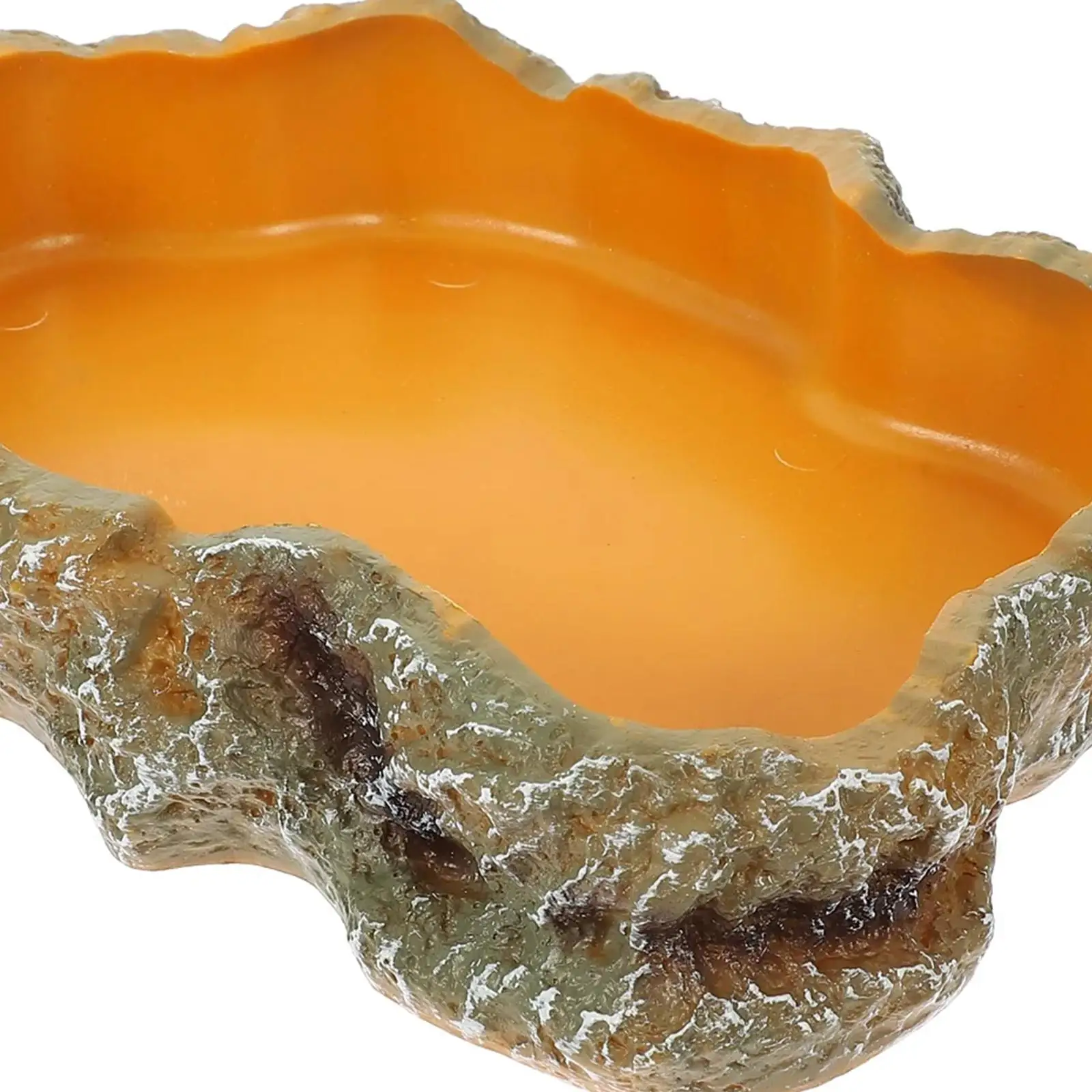 Reptile Water Bowls Terrarium Plate Reptile Feeder Amphibian Feeding Bowl for Frog Chameleon Tortoise Bearded Dragon Turtle - Image 5