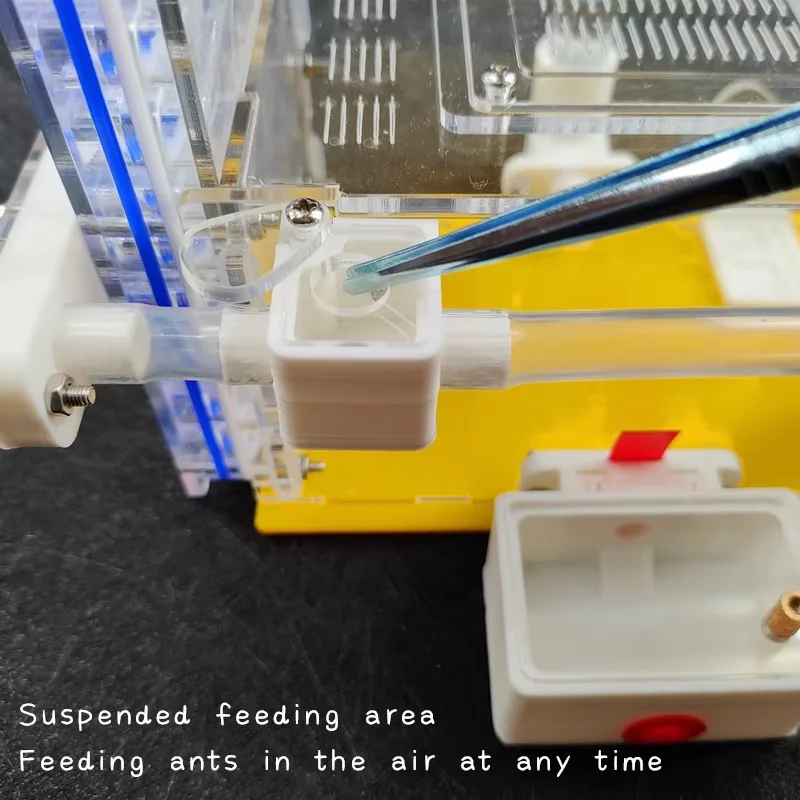 T Design DIY Ant Farm with Feeding Area Acryl Ant Nest Insect Ant House Villa Anthill Pet Workshop Mania for House Ant Hotel - Image 5