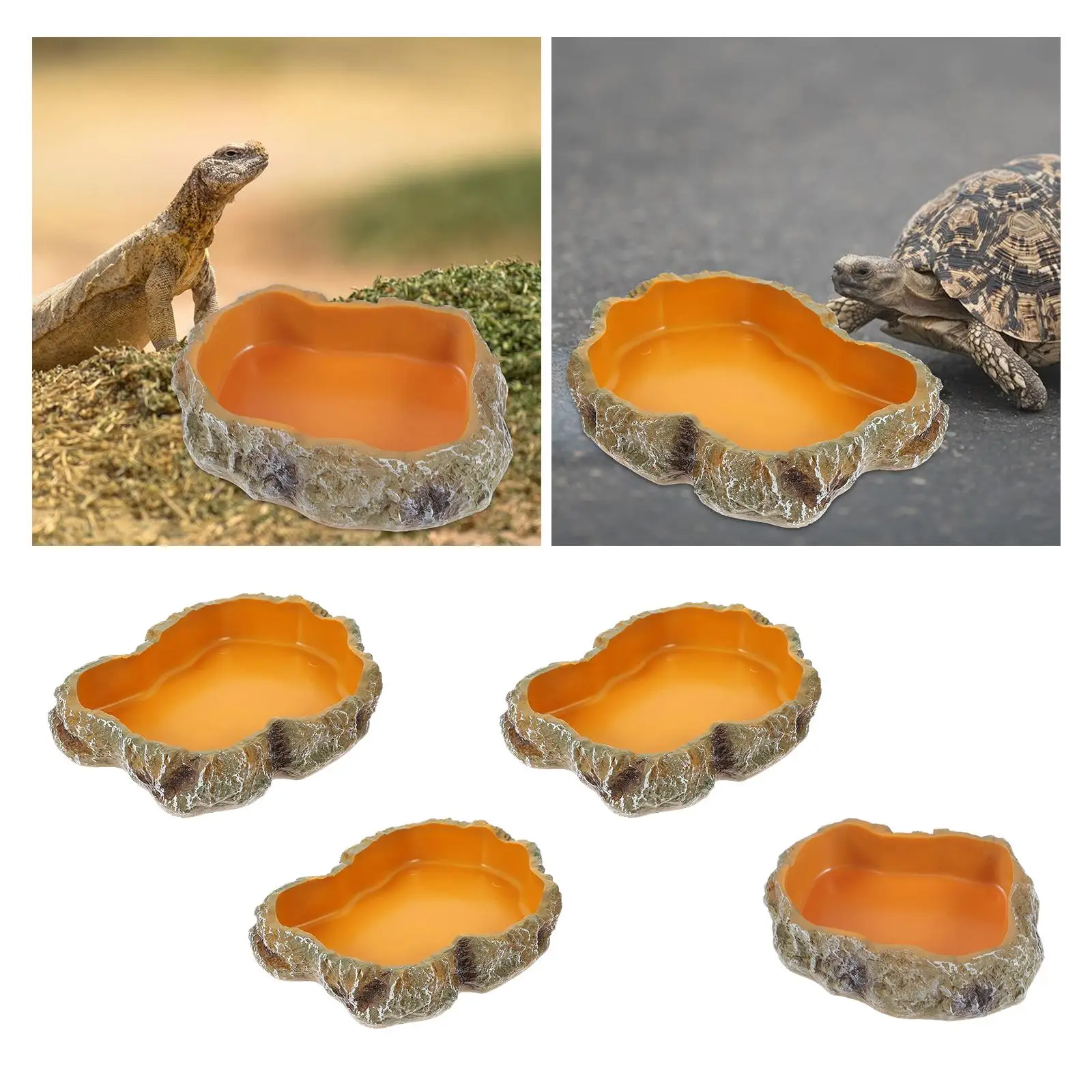 Reptile Water Bowls Terrarium Plate Reptile Feeder Amphibian Feeding Bowl for Frog Chameleon Tortoise Bearded Dragon Turtle - Image 4