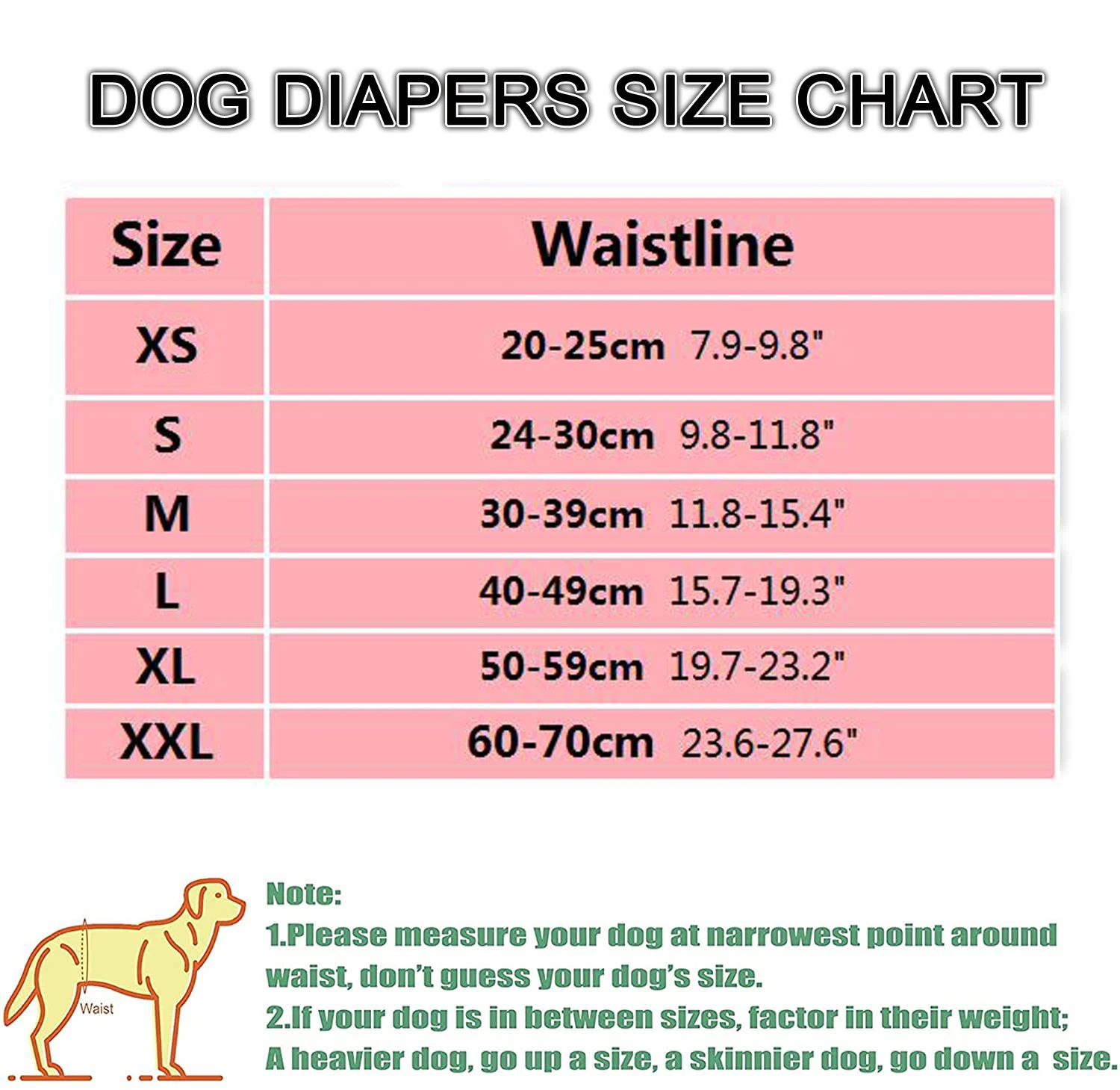 Female Dog Panties Adjustable Pet in Heat Menstrual Sanitary Physiological Pants Reusable Diapers for Small Medium Large Dogs - Image 4