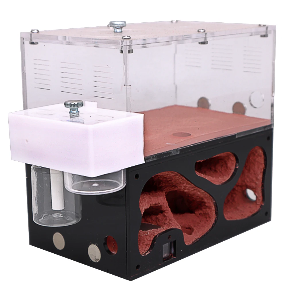 Ant Drinking Bowl And Water Feeder Set Ant Farm All-in-one Water Feeder Ant Nest House External Trash Area Pet Accessories - Image 6