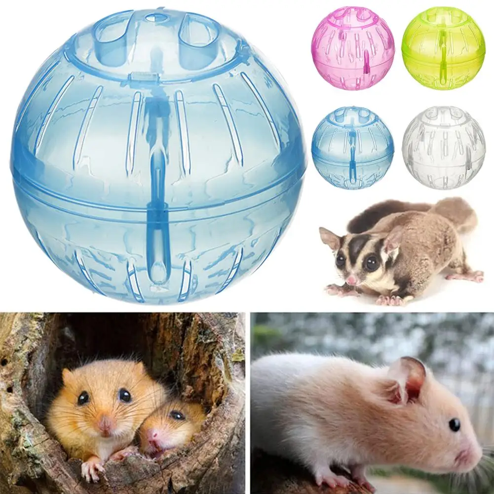 Transparent Acrylic Hamster Exercise Wheel Escape Proof Small Safe Portable Lightweight Multi Activity Pet Cage Design P5F9 - Image 5