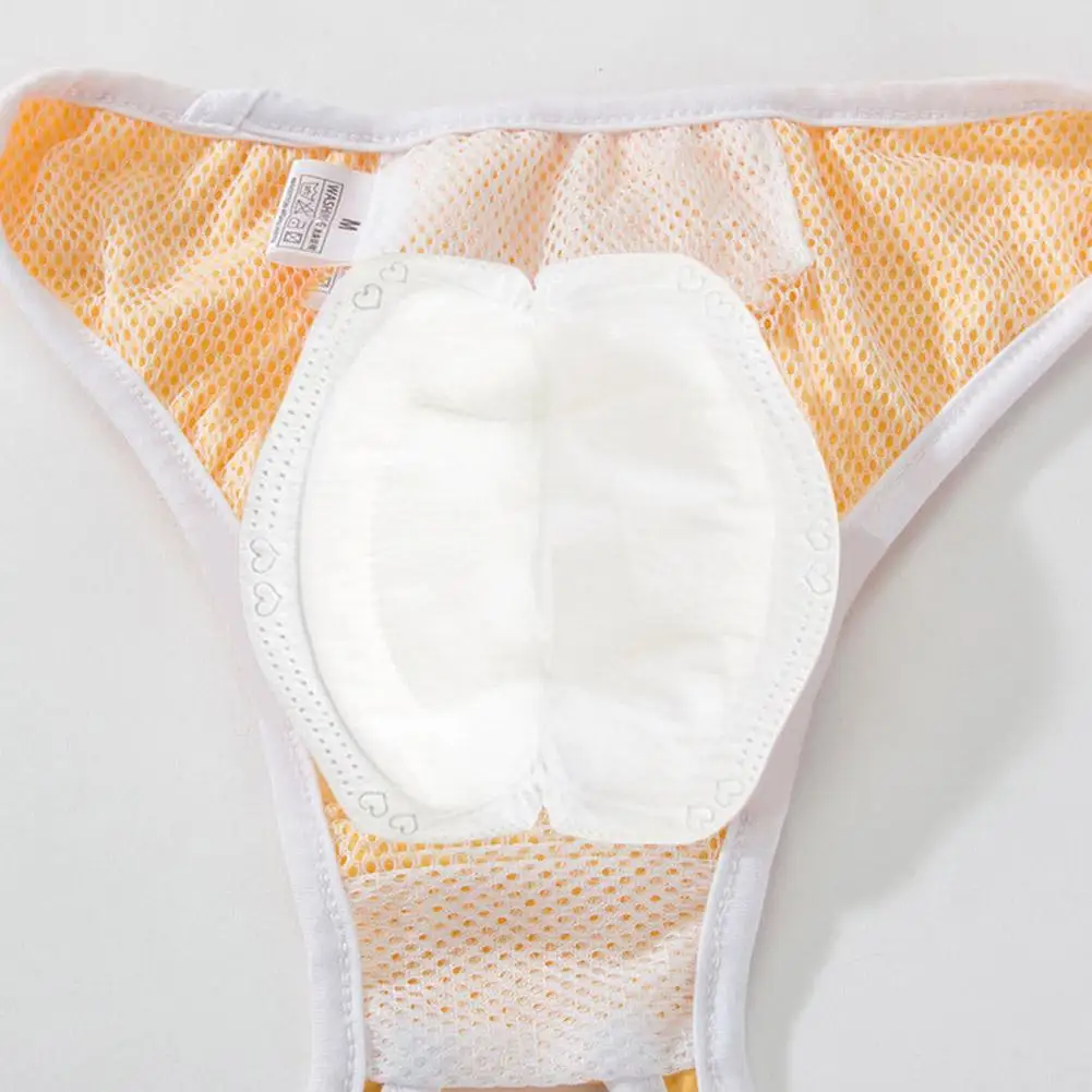100pcs Dog Diaper Pad Diapers for Female Dog Shorts Panties Disposable Dog Diaper Liners Booster Pads Doggie Physiological Pant - Image 4