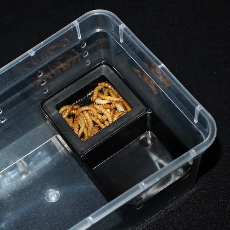 Plastic Reptile Feeder Bowl Double Grid Anti-escape Food Water Feeding Basin Spider Lizard Insect Tortoise Breeding Supplies Pet - Image 4
