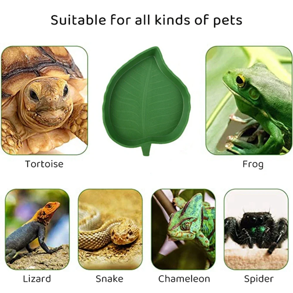 Leaf Shape Reptile Feeder Food Water Bowl For Turtle Lizards Hamsters Snakes Tortoise Gecko Small Pets Feeder Pet Supplies - Image 3