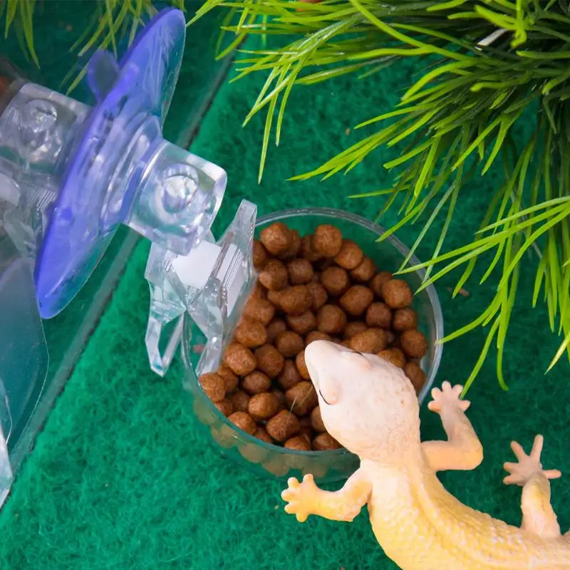 Reptile Water Food Bowl Suction Cup Food Tray Gecko Reptile Lizards Spider Tree Frogs Feeder Habitat Decoration Pet Supplies - Image 4