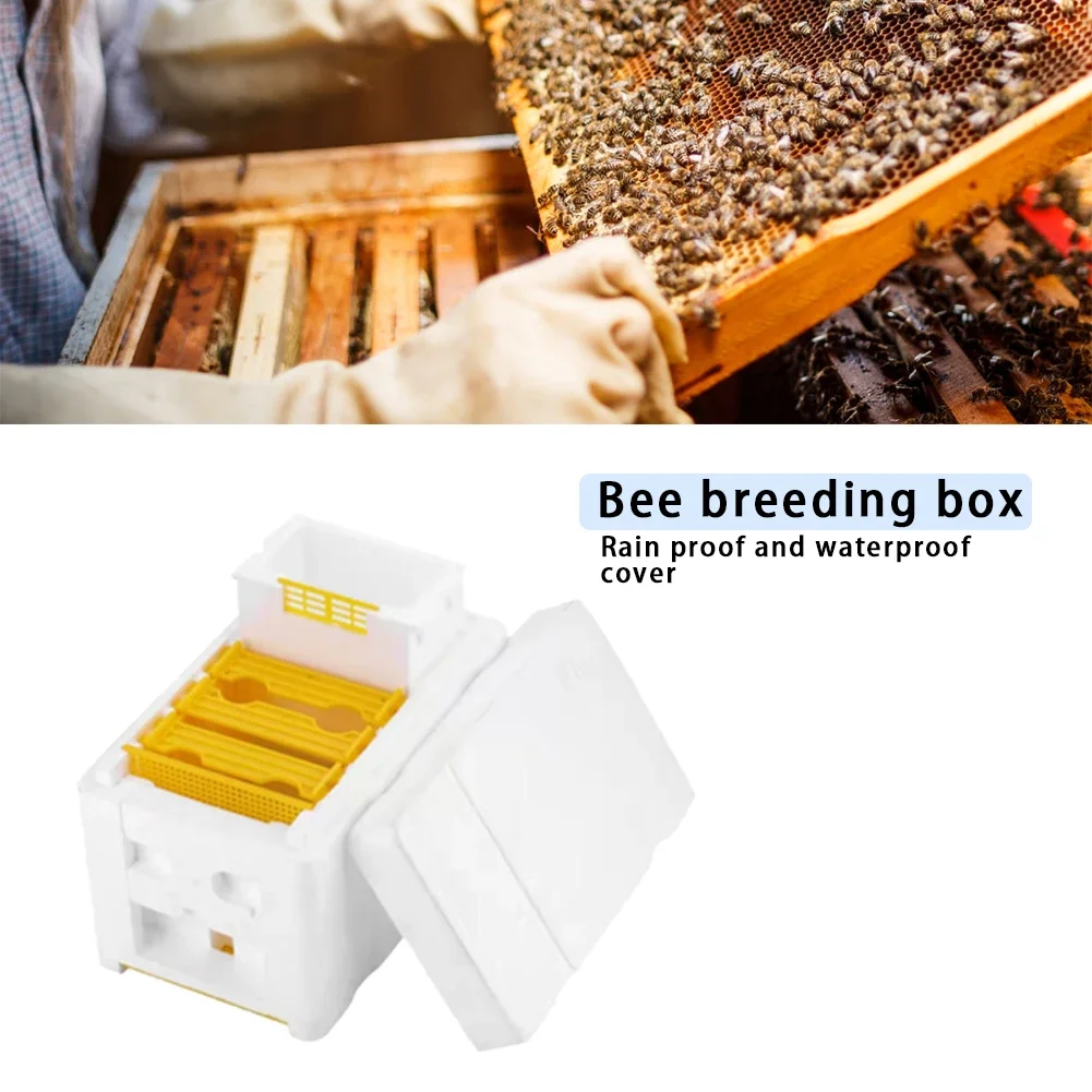 Beehive Beekeeping Box Tools Bee Hive Frame Holder Equipment Kit Beehive Pollination King Bees Hive Box For Beekeeper Supplies - Image 4