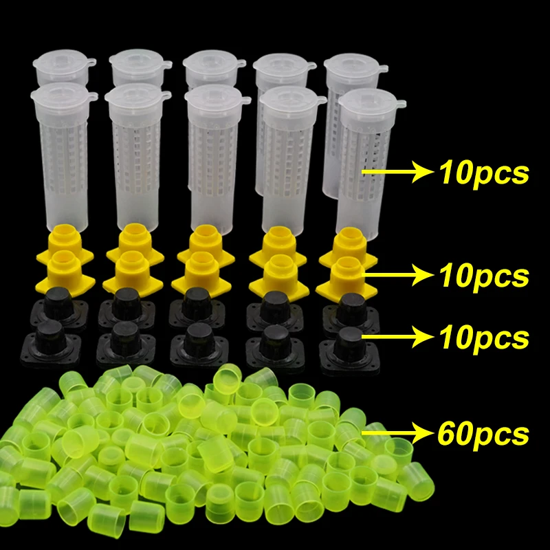 1 Set Beekeeping Cages King Queen Rearing System Plastic Bee Catcher Box Cell Cups Complete Kit Apicultura Tools Supplies - Image 2