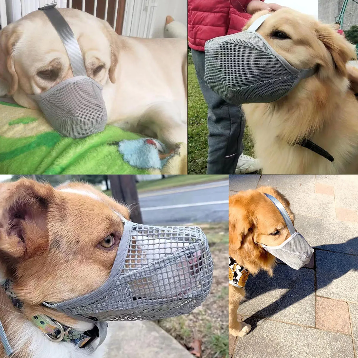 Dog Muzzle, Soft Mesh Covered Muzzles Poisoned Bait Protection With Adjustable Straps, Prevent Biting Chewing And Licking - Image 5