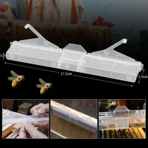 5/10Pcs Hive Beetle Trap Clear Plastic Reusable Beetle Trap Bee Health Suitable For Hive Frame Capture Beetle Beekeeper Supplies