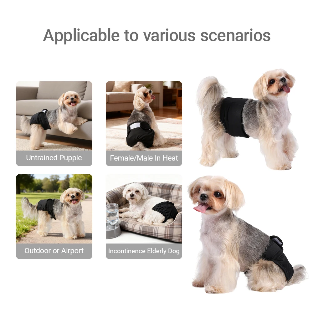 Washable Pet Diapers for Female Male Dogs Breathable Reusable Puppy Sanitary Panties Underwear Chihuahua Menstruation Pant Short - Image 5