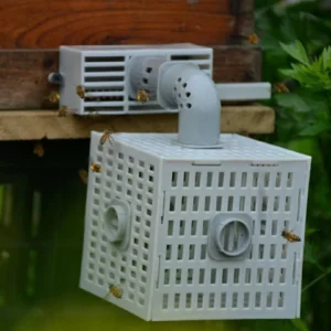 Bee Hive Tool Automatic Bee Divider Prevent Escaping Bees Remove Male Bee Beekeeper Tools Beehive Accessories 1Pc