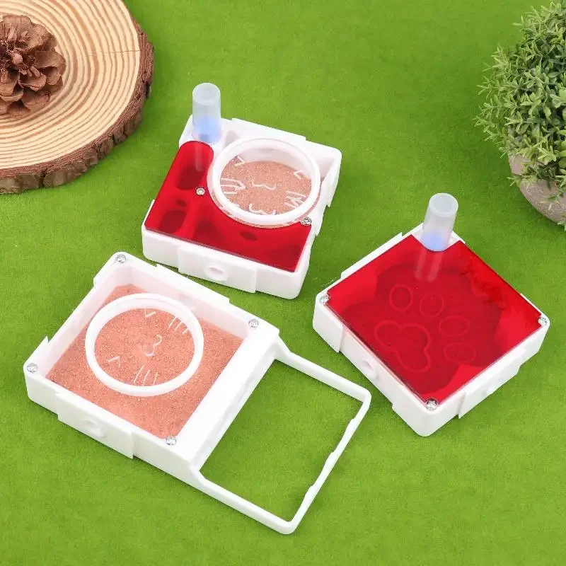 Experiment and Observe with the Queen Ant's Nest Ant Farm, Unlock the Wonders of Nature - Image 2