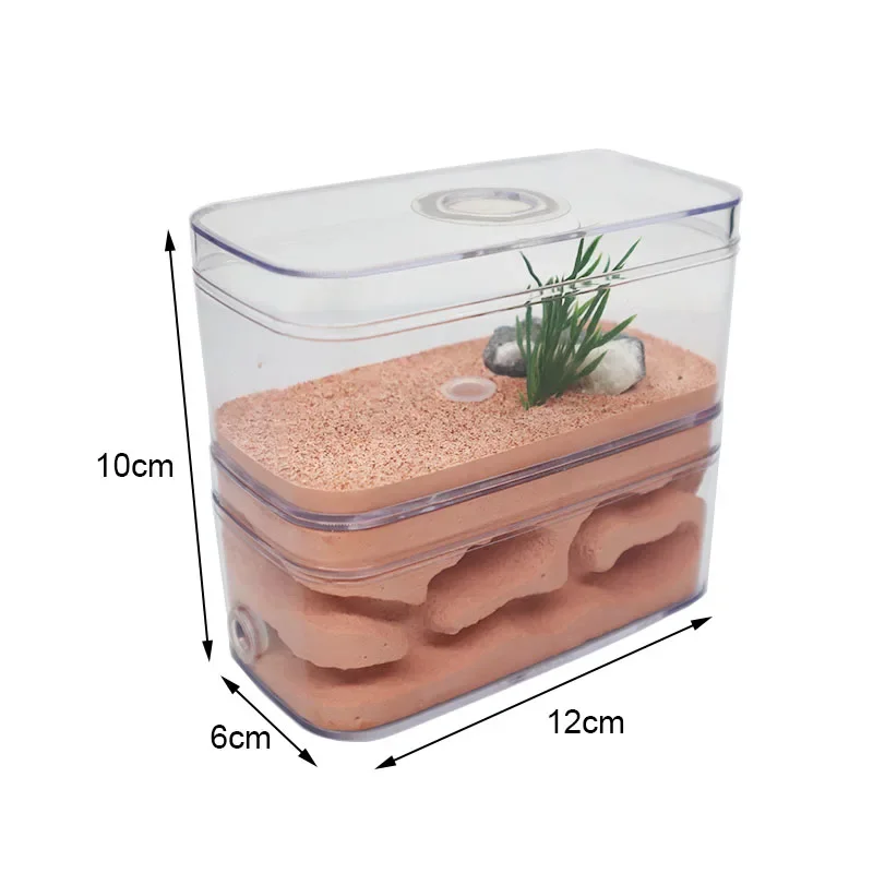 Plaster Ant Farm with Workshop Highly Moisturizing Ant Nest Pet Anthil Castle Ant House with Feeding Area Insect Box 12*6*10cm - Image 3