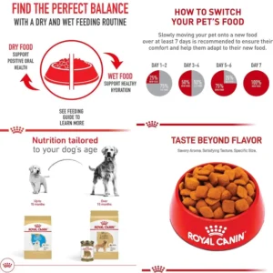 30-Pound Bag of Adult Golden Retriever Dry Dog Food