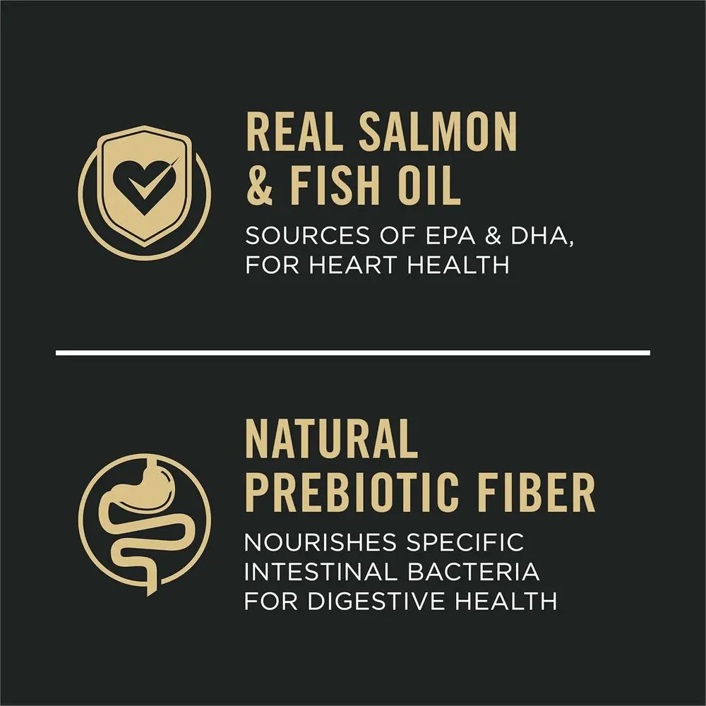 Adult Dog Dry Food: Salmon & Rice for Sensitive Skin & Stomach, 16 lbs, Supports Digestive Health - Image 2