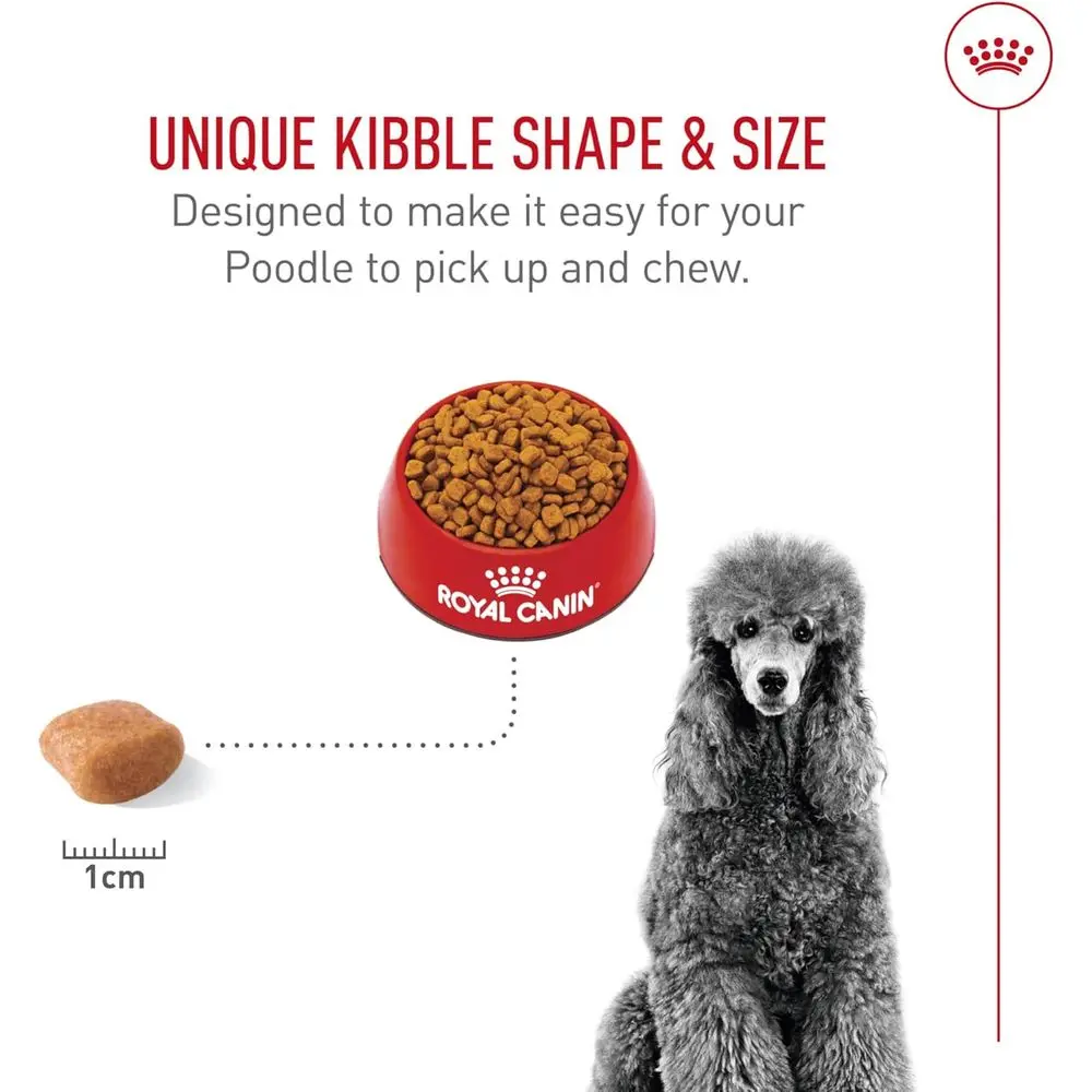 Adult Poodle Dry Dog Food, 10 lbs, Breed-Specific Health & Nutrition - Image 5