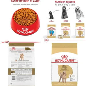 Adult Poodle Dry Dog Food, 10 lbs, Breed-Specific Health & Nutrition