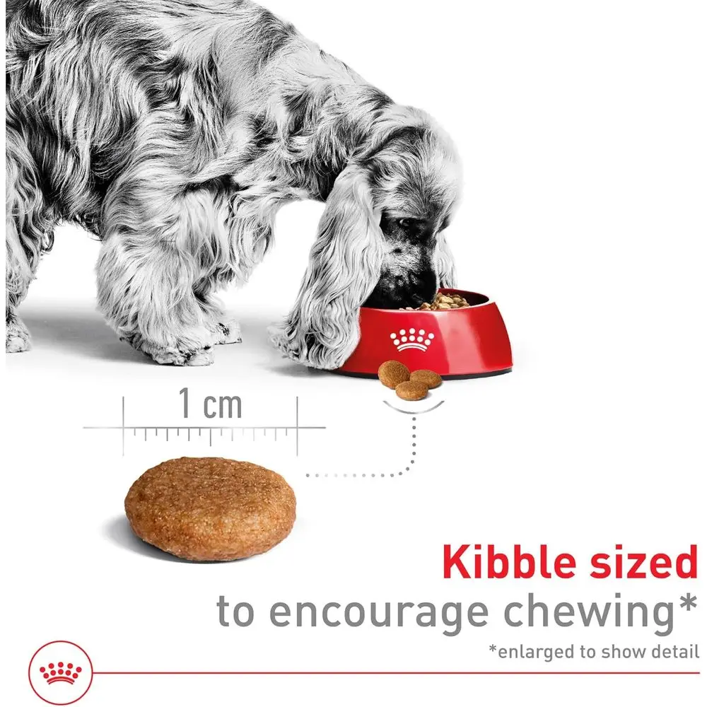 Medium Adult Dry Dog Food, 17 lbs, Size Health Nutrition - Image 3