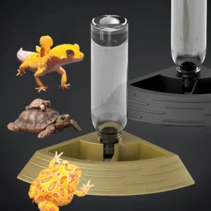 2-In-1 Reptile Corner Feeder with Water Bottle for Pet Lizard, Turtle, Maned Lion and Gecko