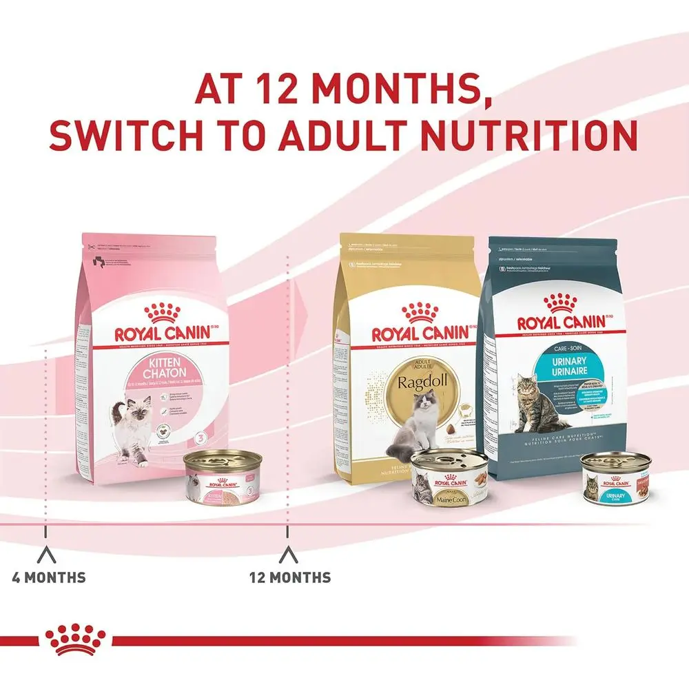 Eline Kitten Nutrition Wet Food in Sauce, 3 oz Cans, 24 Pack - Image 2