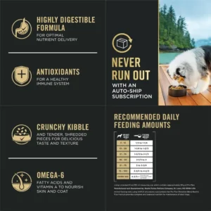 Probiotic-Enriched Beef & Rice Dog Food, Shredded Blend, 35 lbs