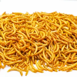 Hamster feed, golden hamster snacks, dried mealworms, hamster staple food, grinding teeth, nutritional supplement, nutritional h
