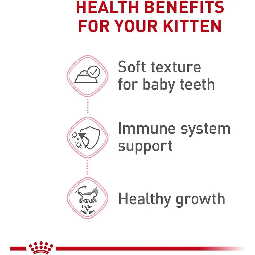 Eline Kitten Nutrition Wet Food in Sauce, 3 oz Cans, 24 Pack - Image 4