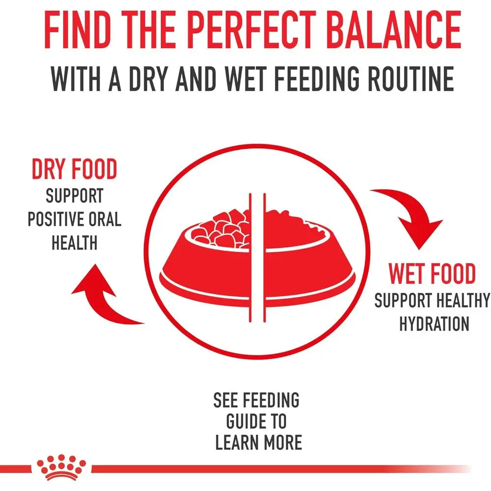 Medium Adult Dry Dog Food, 17 lbs, Size Health Nutrition - Image 5