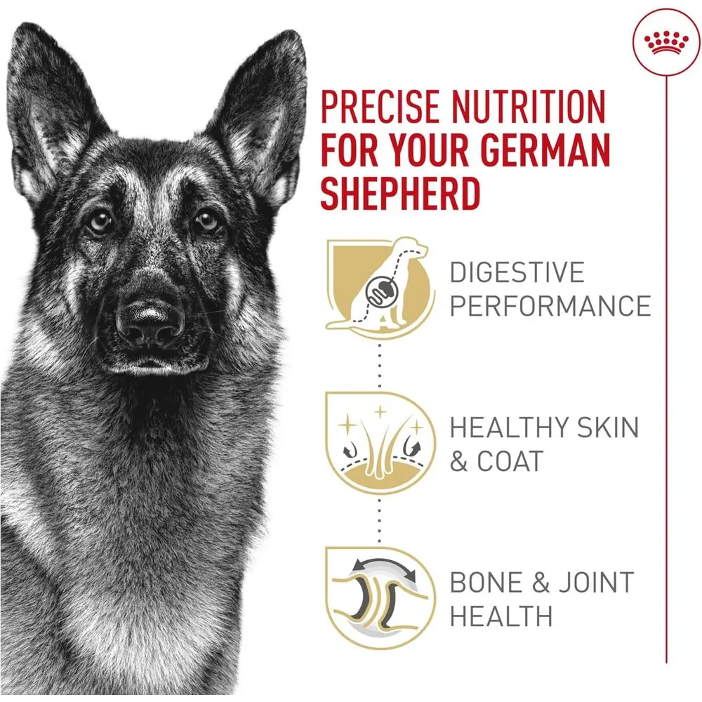 German Shepherd Adult Nutrition: 30 lb Dry Dog Food for Health - Image 4