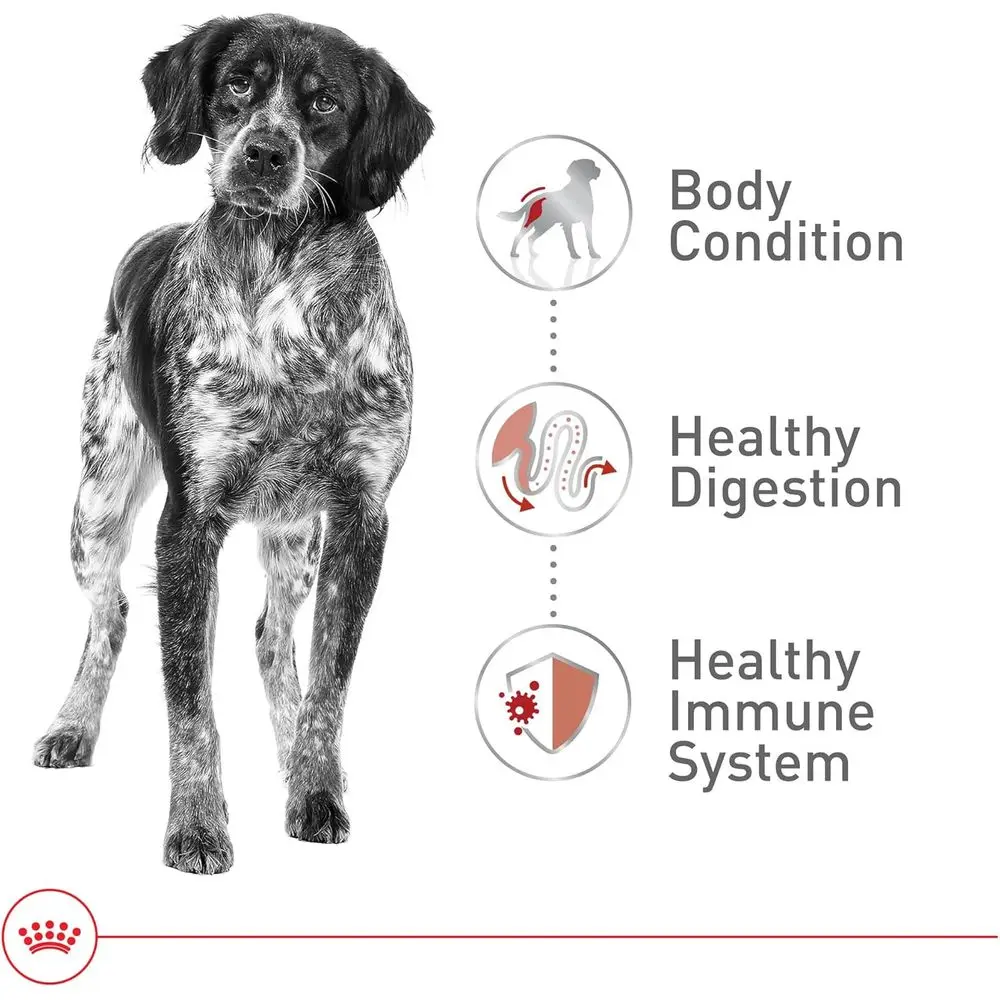 Medium Adult Dry Dog Food, 17 lbs, Size Health Nutrition - Image 4