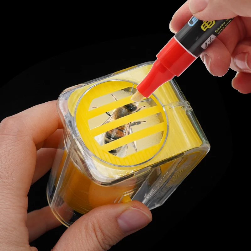 1Pcs Plastic Queen Bee Marker Bottle Bee Catcher Marking Cage Handed Marking Bottle With Sponge Plunger Beekeeping Tools - Image 2