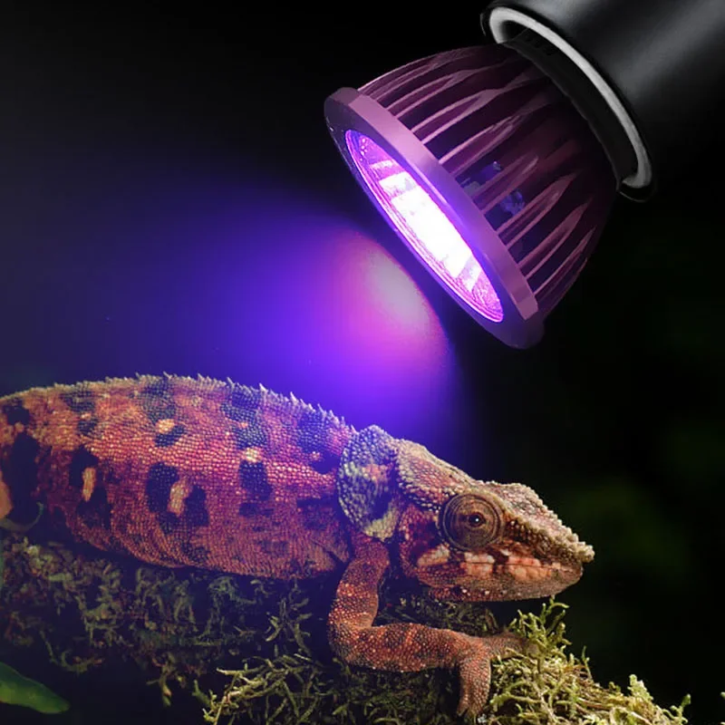 Reptile 110/220V Night Lamp Imitation Moonlight Light Night Sleep Lighting Lamp for Turtle Lizard Snake Reptile Amphibian - Image 2
