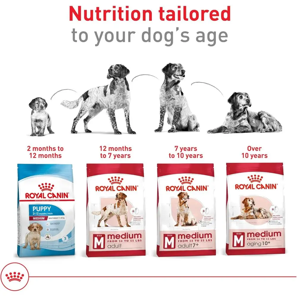 Medium Adult Dry Dog Food, 17 lbs, Size Health Nutrition - Image 6