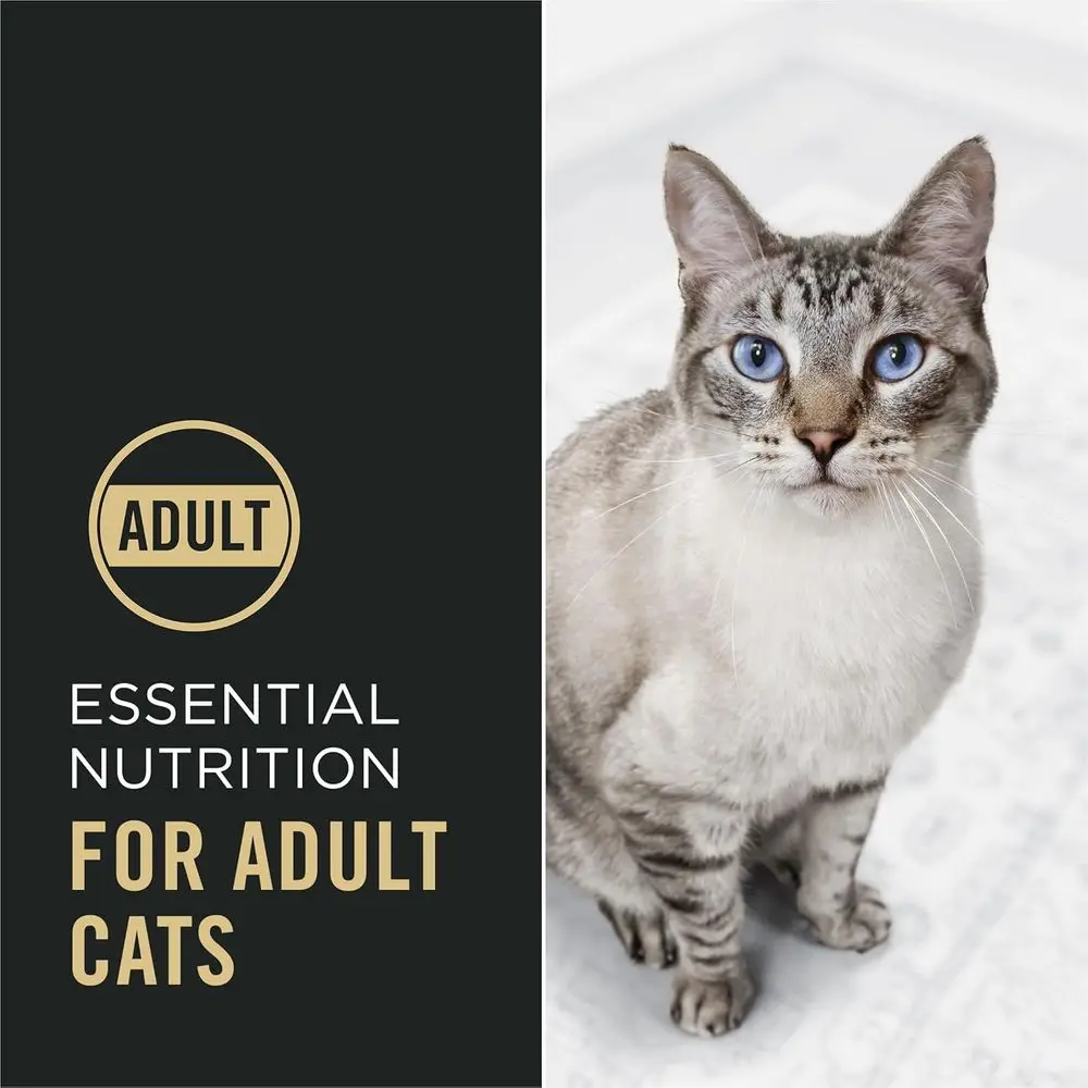 Protein-Rich Cat Food: 16 lbs Chicken & Rice Recipe for Purrfect Cats - Image 3