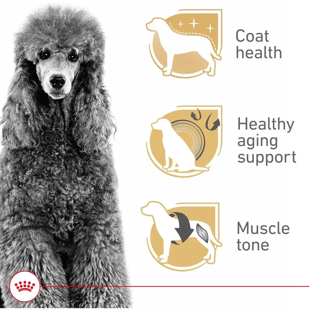 Adult Poodle Dry Dog Food, 10 lbs, Breed-Specific Health & Nutrition - Image 4