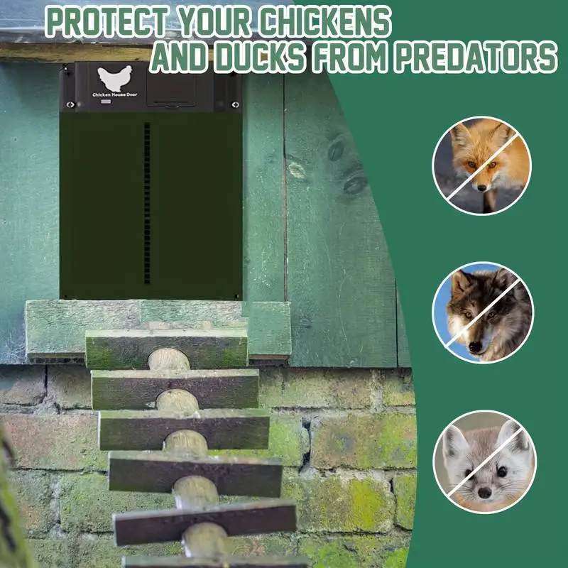 Automatic Chicken Coop Door Chicken Automatic Door Light Sensing Auto Chicken Door Opener Chickens Supplies Battery Powered - Image 5