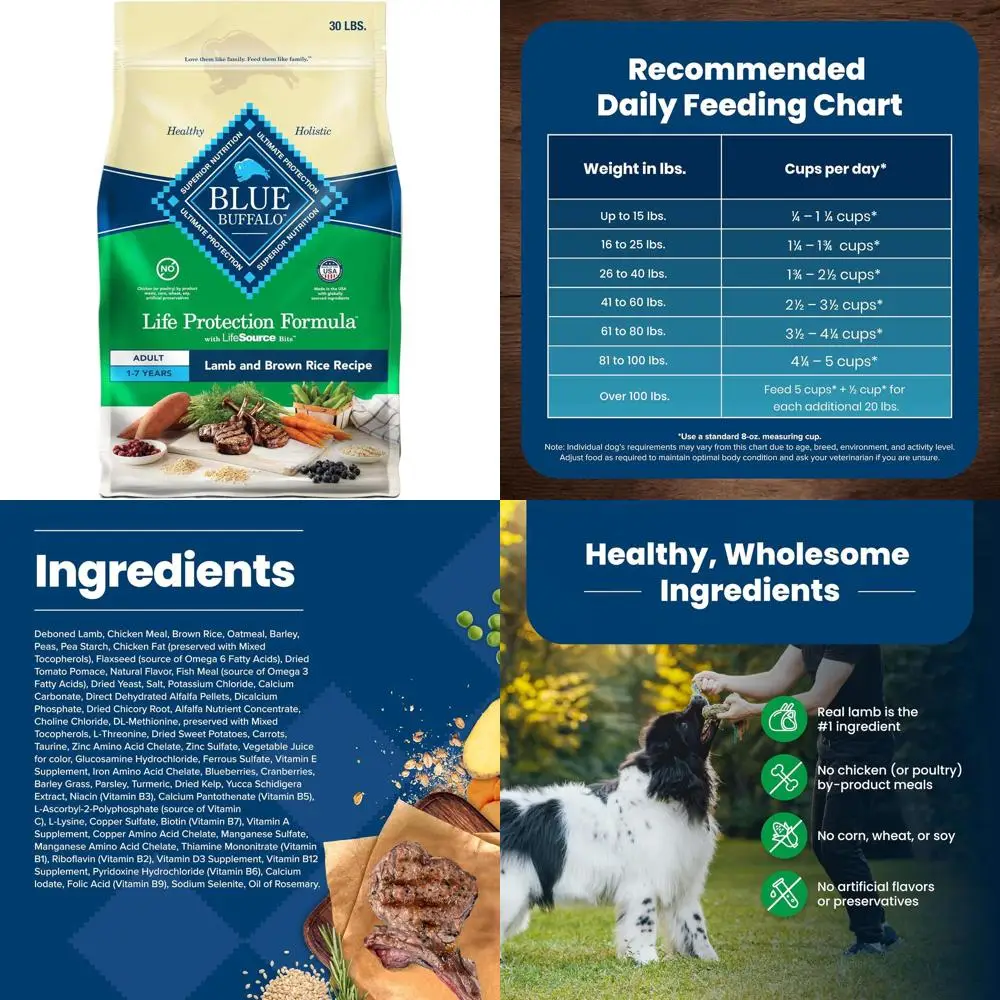 Nutritious Lamb & Brown Rice Adult Dog Food for Strong Muscles, 30-lb Bag, Natural Ingredients