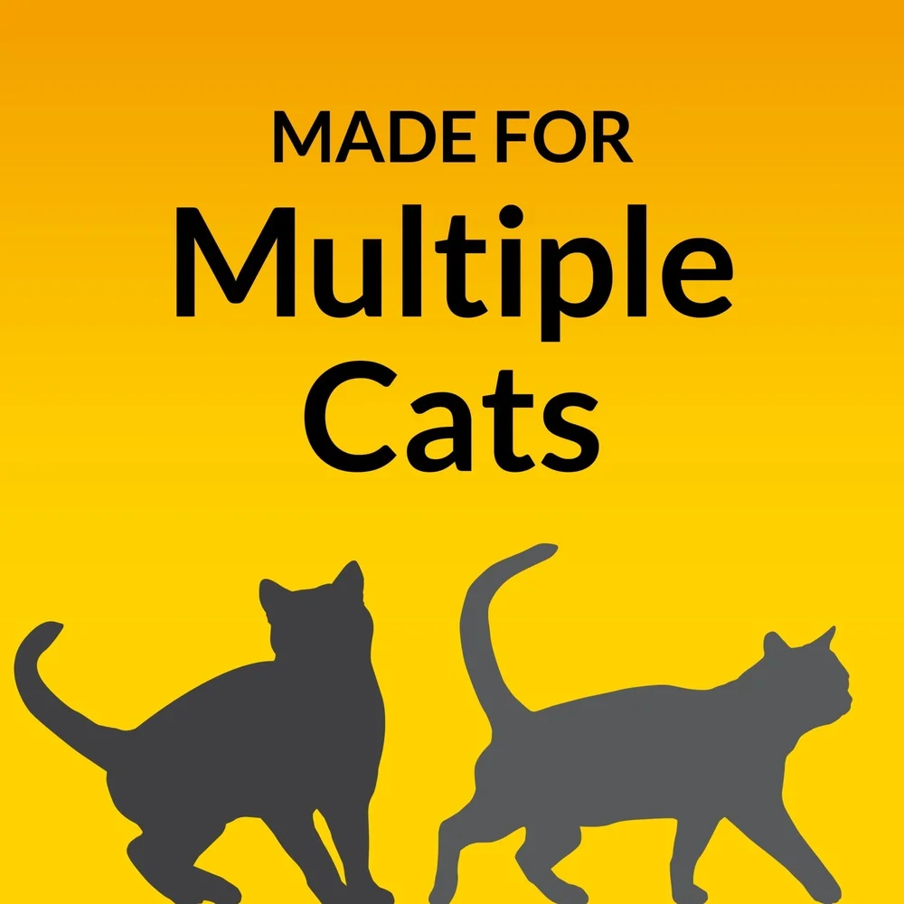 Multi-Cat Non-Clumping Cat Litter 48lb Odor Control Low Dust Clay Litter 24/7 Performance Moisture Absorption Fresh Scent - Image 3