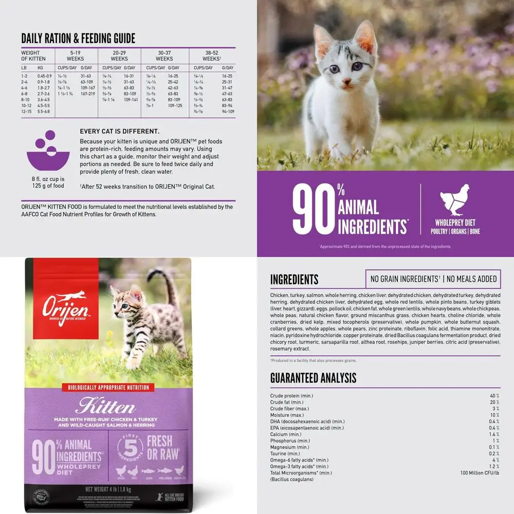 Premium Kitten Dry Food, 4lb Bag, High Protein Grain-Free Recipe