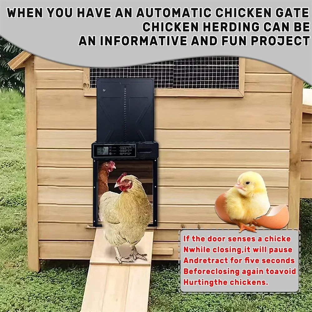 Large Automatic Chicken Coop Door Solar Powered Timer Light Sensor Aluminum Alloy Anti Pinch Safety LCD Display Cold Weather - Image 4