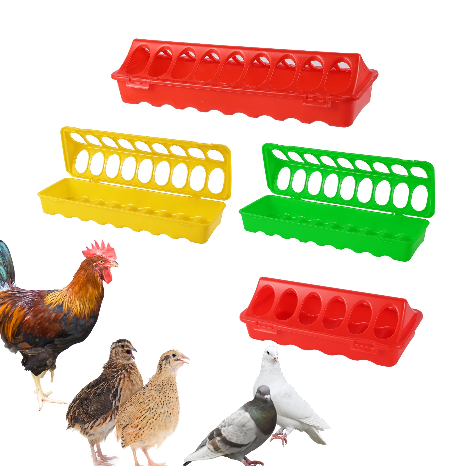 Plastic Flip-Top Poultry Bird Feeder Ground Chicken Bird Feeder Trough Pheasant feeding bucket Quality Chick 20/30/40/50cm - Image 6